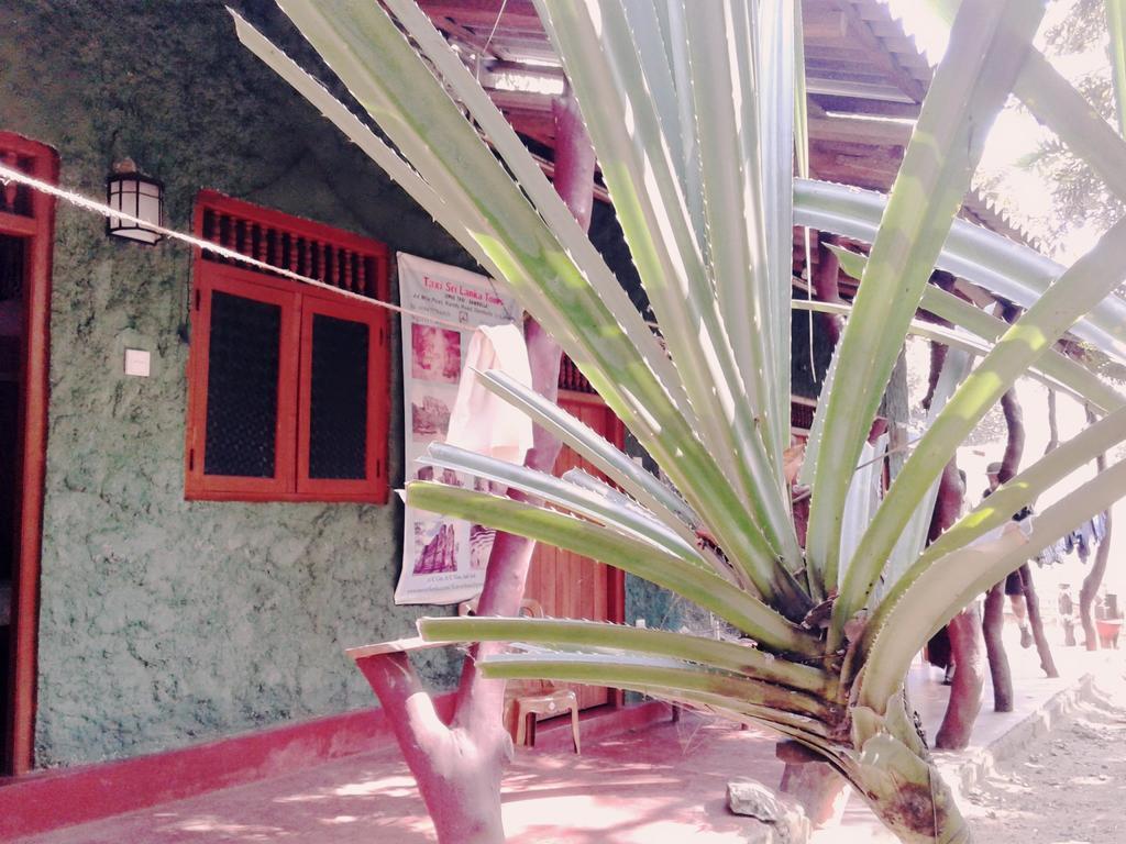 Bluesky Guest House Dambulla Eksteriør bilde